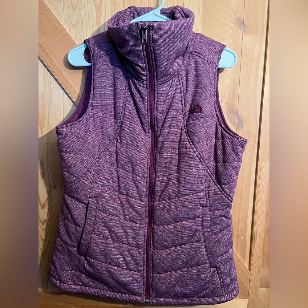 The north face vest
